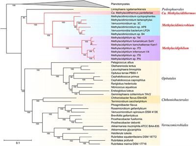 Genome-guided prediction of acid resistance mechanisms in acidophilic methanotrophs of phylogenetically deep-rooted Verrucomicrobia isolated from geothermal environments